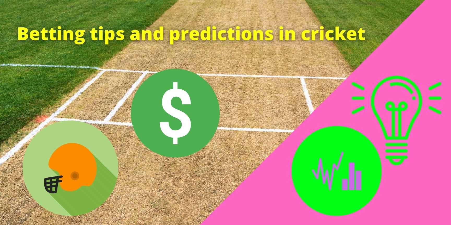cricket tips